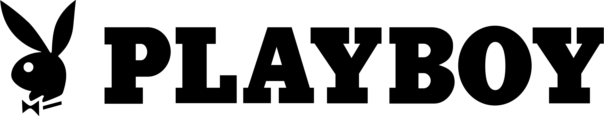 花花公子