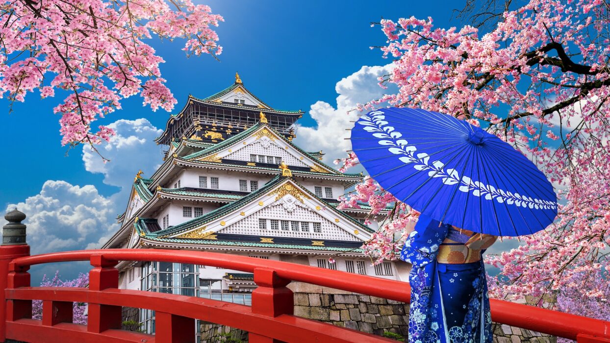 服务